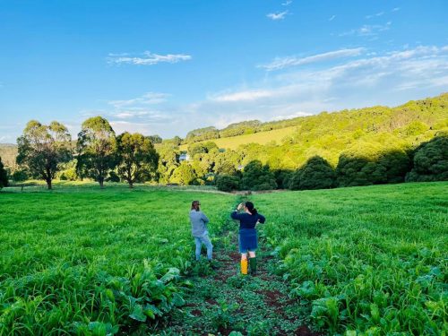 Photo of Inkungu Farm