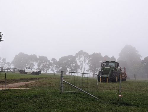 Photo of Inkungu Farm
